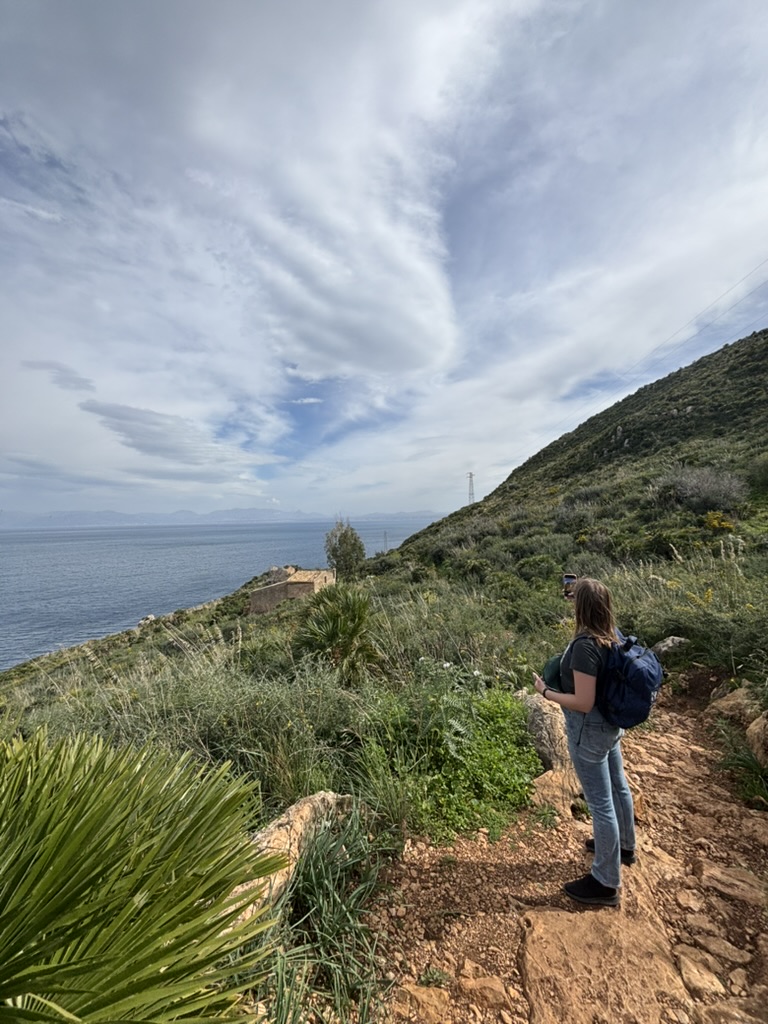 7c6d743e 67cc 49a1 b35a c545f4c7d941 1 105 c