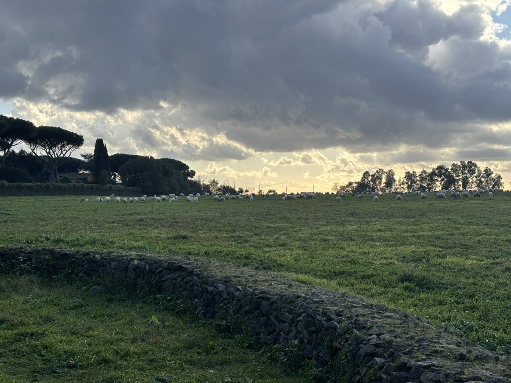 8d8060ee 4166 455e 8364 5845711337ff 1 105 c